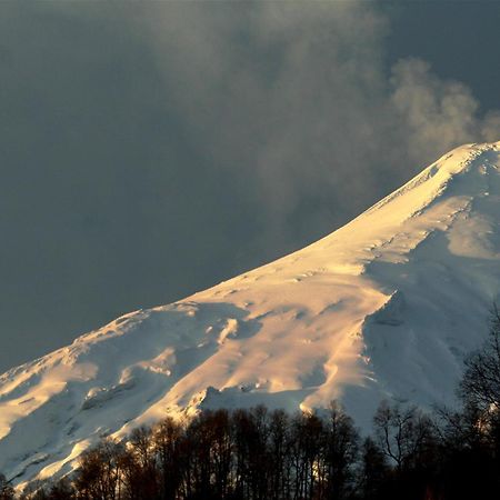 Cabanas Am Berg Пукон Экстерьер фото