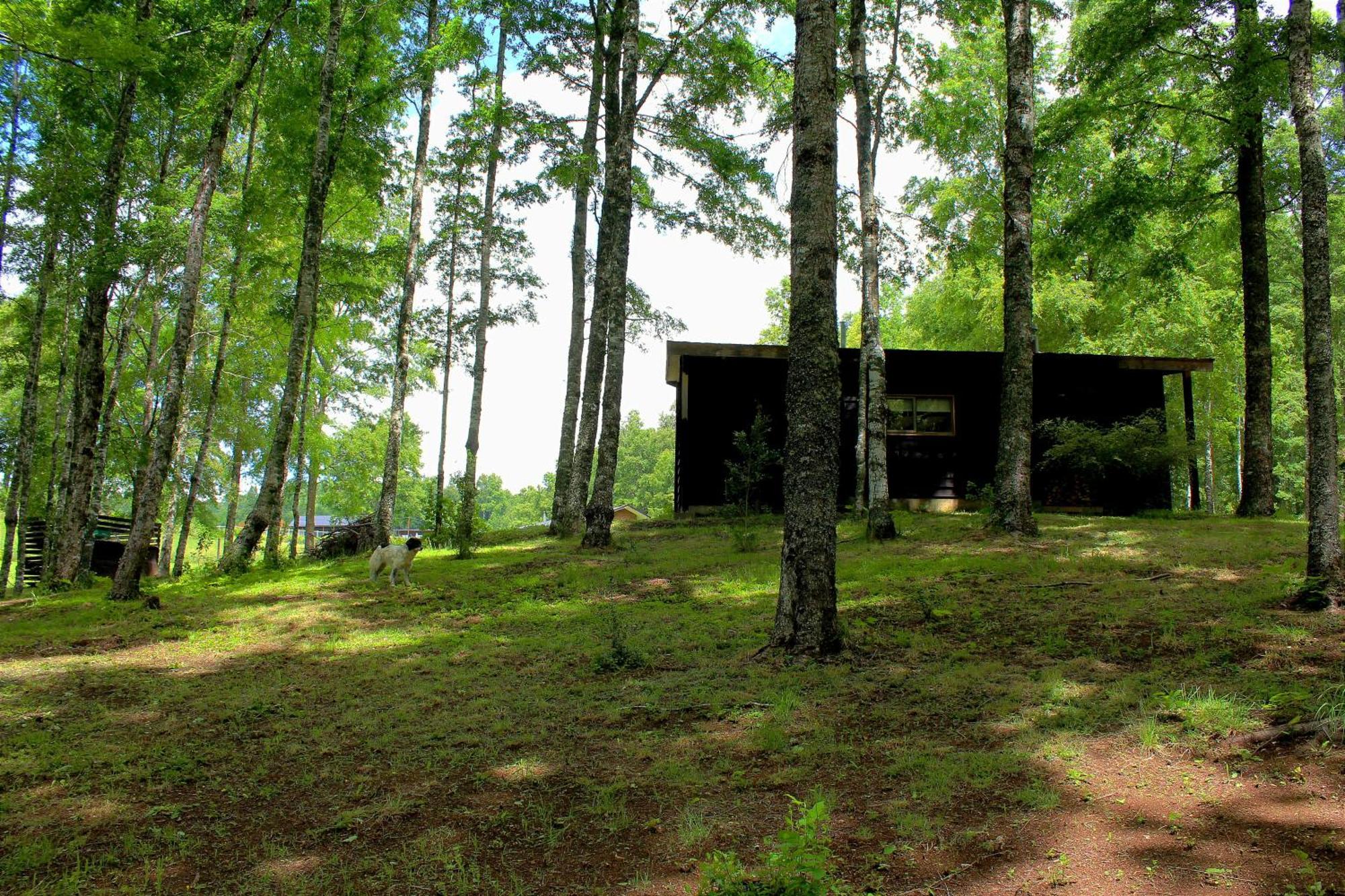 Cabanas Am Berg Пукон Экстерьер фото