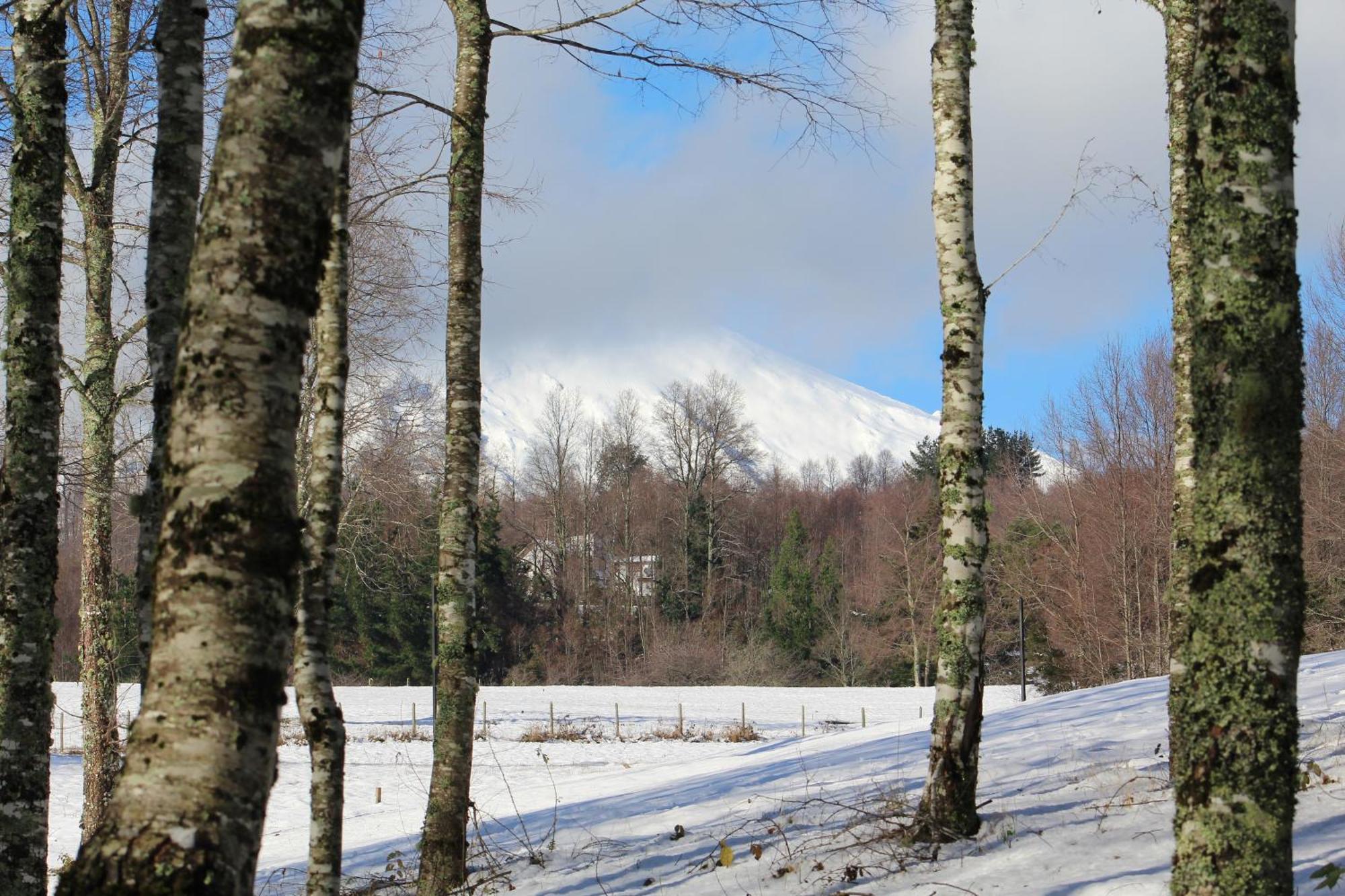 Cabanas Am Berg Пукон Экстерьер фото