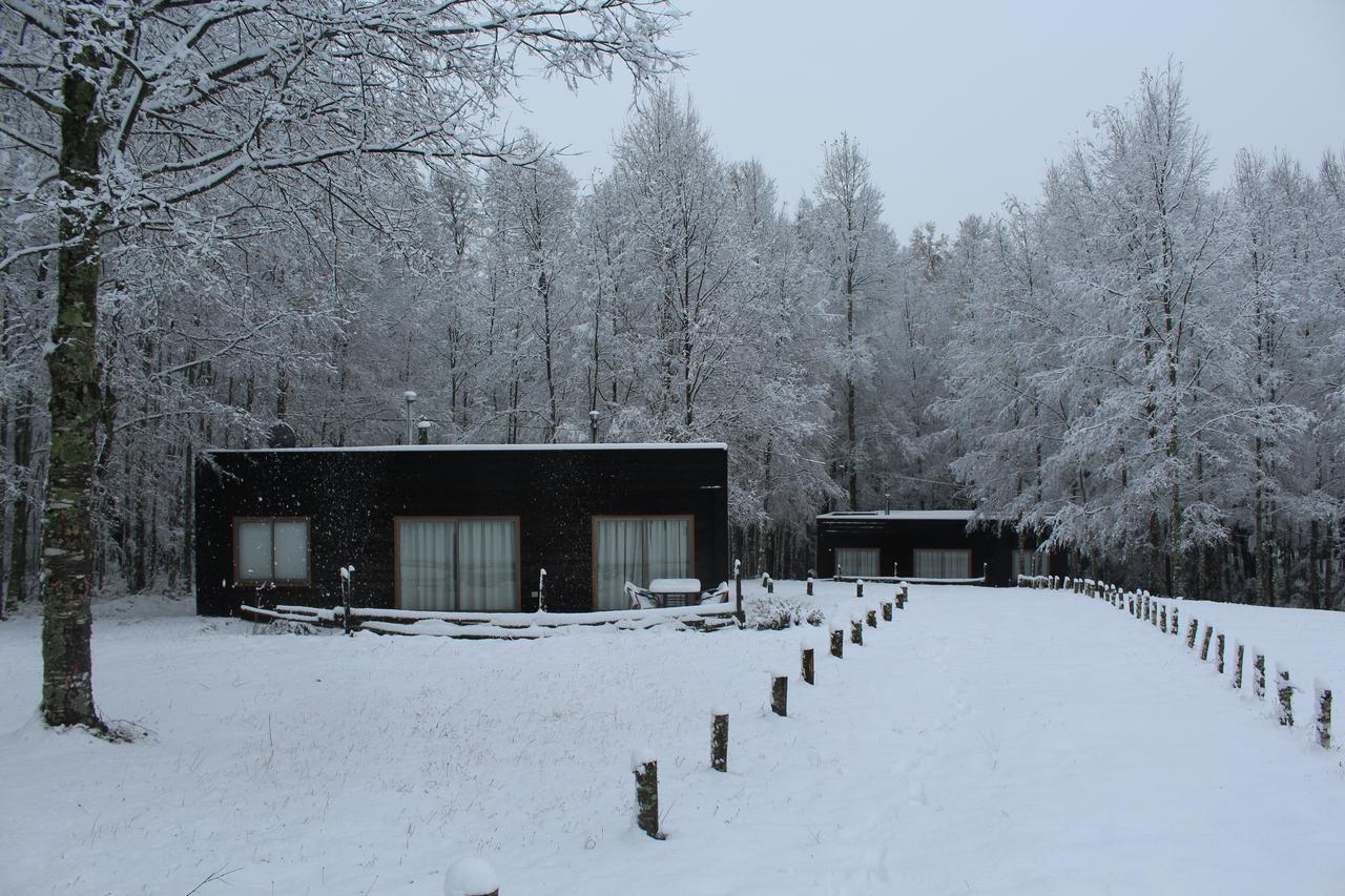 Cabanas Am Berg Пукон Экстерьер фото