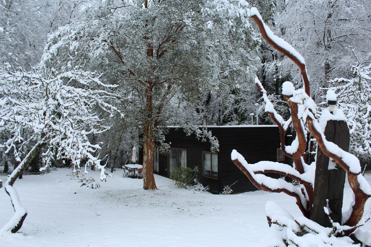 Cabanas Am Berg Пукон Экстерьер фото